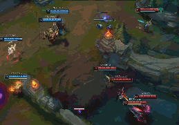 种独特的生 种独特的生